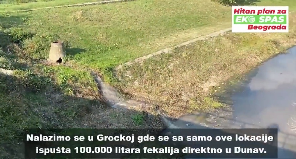 fekalije