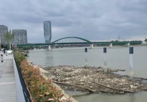 0grk9kpTURBXy80ZjBhOWU3NTk5MjU4OGJlYjEwYzNjZjNkYjgyZWYxMS5qcGeRkwLNBLAA3gABoTAF