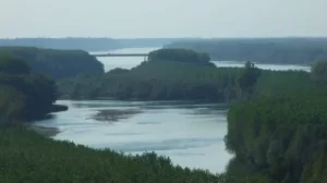 10446250_903134819713525_2736616813722222132_o-e1667486934600-1000x560