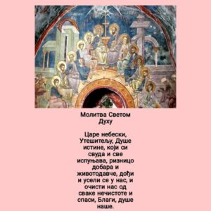 131324269-131433895757878-4351644643813790601-n