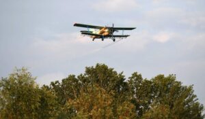 1625590039-Beta-4cgtrdj72d-1024x597