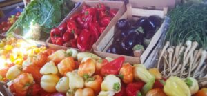 1629980251-1629979205969-1024x473