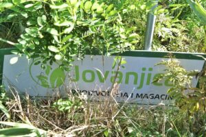 1631004948-1631004751098-1200x800