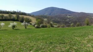 1644148583-shutterstock_763263028-1024x576