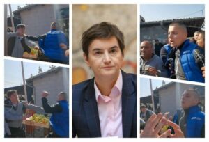 1648382856-collage-750x510