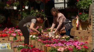 1650029152-BG-PIJACE-PKG-150422-MDK20220415-144738996.mxf_.00_02_15_03.Still002-1024x576