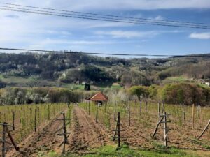 1650613053-20220415_163714-1024x768