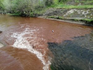 1650627547-FQ3w61sVsAIMam4-1024x768