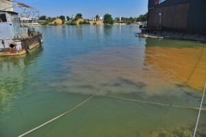 1651701960-1651683193787-1200x800