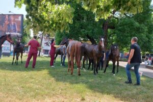 1654177926-ккоњи-1200x800