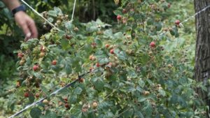 1655138438-1-1024x576