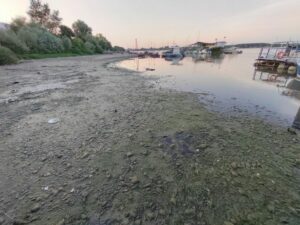 1656857948-Pontonski_most_06_b-1024x768