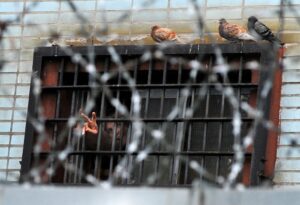 BELARUS-POLITICS-RIGHTS