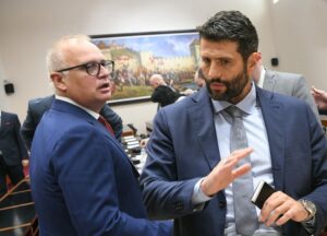 1661162357-1654933845-VEC_1872-copy-vesic-sapic-1024x738