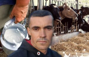 1662458665-Predrag-Veljkovi-1024x661