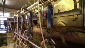 1662568402-BG-MLEKO-PKG-070922-MDJ20220907-182620230.mxf_.00_01_52_04.Still003-1024x576