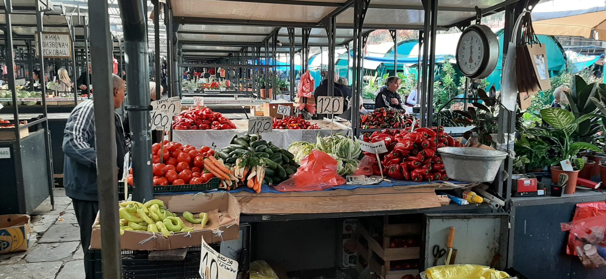 1666961325-20221028_120842-2048x945