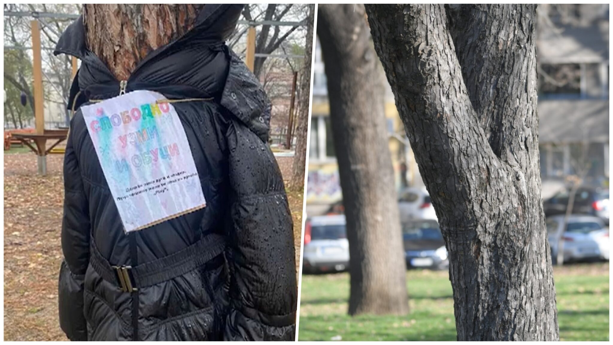 1670933223-collage4324324-2048x1152