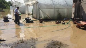 1671014867-IMG-f834b4f367cec75a1e0b2f21e2f3c471-V