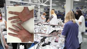 1677847357-леони01-фото-н1-1024x576