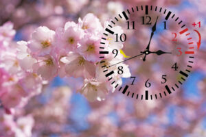 DaylightSavingTime.Dst_.WallClockGoingToWinterTime