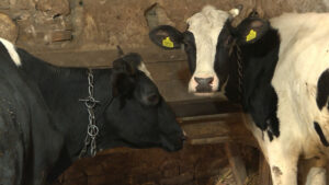 1682882768-3-1024x576