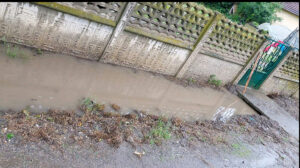 1687957597-Screenshot_20230628_144713_Viber-1536x858