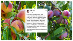 1693658028-collage-1024x576