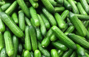 FreshCucumberOnTheMarket