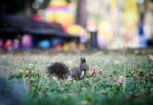 1699275323-1699274869414-1024x704