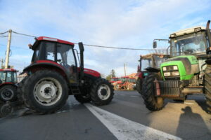 1699885345-HAM_2997-750x500