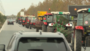 1700414067-Paori-1-1024x576