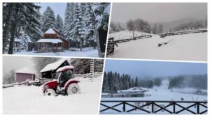 1700904914-collage-1024x573