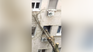 1705571408-DRVO-1024x576