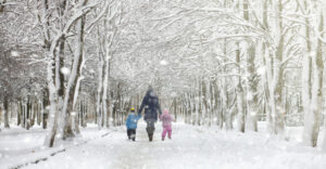 WinterParkUnderTheSnow.SnowstormInTheCityPark