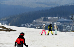 1709808367-VEC_9811-1024x647