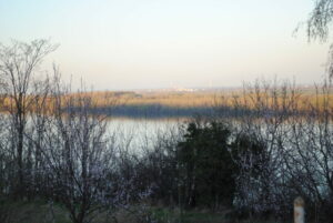 1713364754-Vinca-1024x687