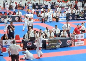 1718185618-Nina-Macura-3-1024x726