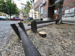 1721408236-poziv-na-protest-Vracar-drvece-seca-drveca-Metohijska-3-1024x768