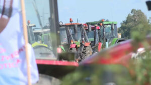 1727692087-Poljoprivrednici-iz-Subotice-traktorima-blokirali-Ipsilon-krak-2-1024x576