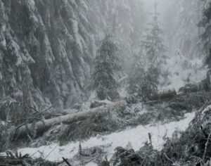 1733133259-IMG-059e572d2dd7586f8cee5be14515e5d9-V