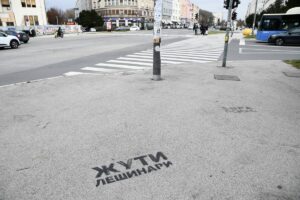 1733135856-Beta-w9sii1n55g-1200x800