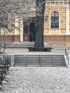 1736430147-IMG_4346-1152x1536