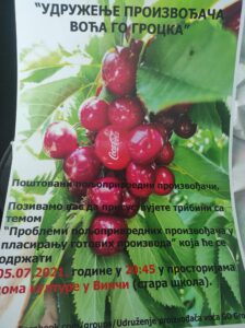 209439213-4348591995208471-6780765643927420111-n