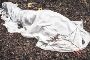 2106759_1302shutterstock-1453074878_ls