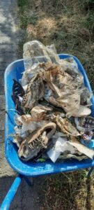 234340478-236918078341372-9103806492944638561-n