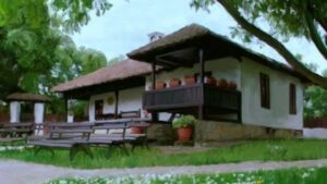 262265669_4277198872388504_269899582018559554_n-597x336