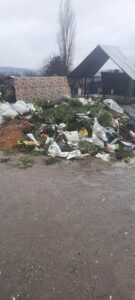 264199107-1033181054131131-4532435141932136743-n