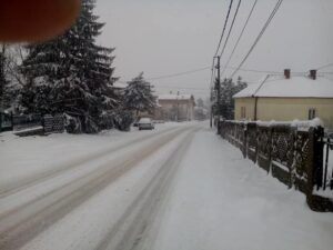 271668263-1220219695456188-8262813552379307637-n