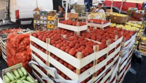 274356_veletrznica1006092019_f